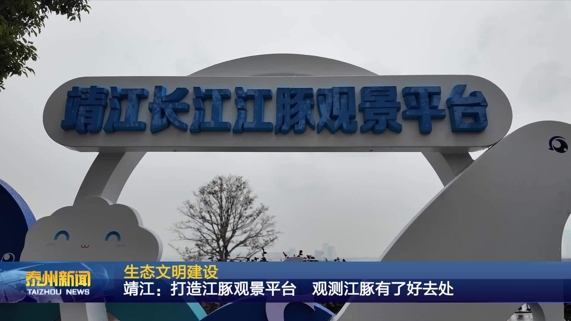 生态文明建设  靖江：打造江豚观景平台  观测江豚有了好去处