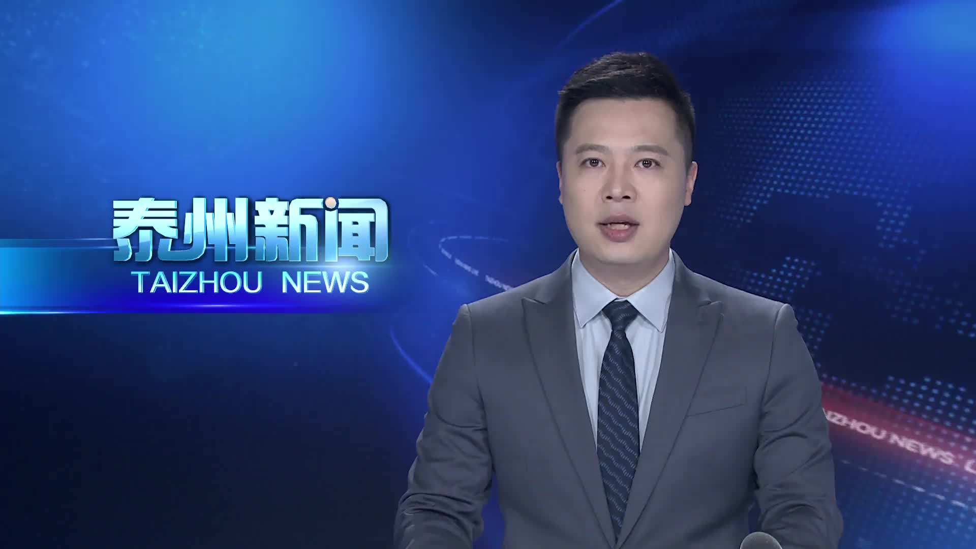 十四届全国人大四次会议江苏代表团举行小组会议  泰州市全国人大代表参加审议全国人大常委会工作报告